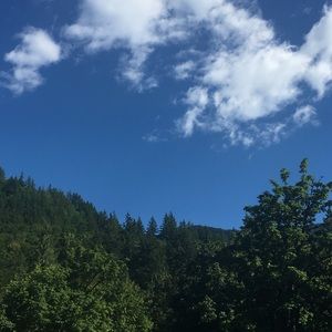 Meet your Posher, Cassidy